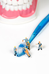people and toothbrush on white background,miniature