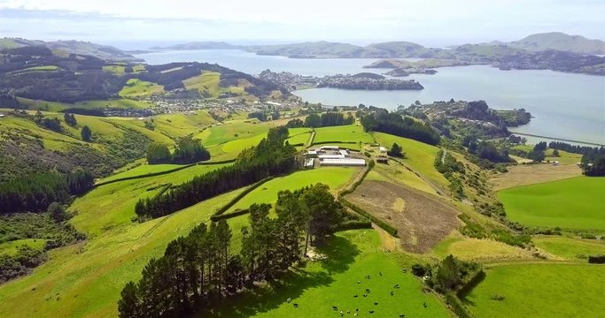 Aerial Dunedin Town and Otago Bay, New Zealand