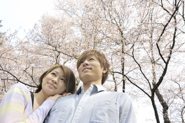満開の桜と若いカップル