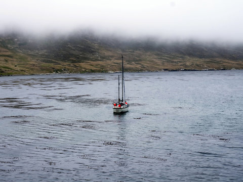 yacht marine Carcass Island, Falkland-Malvinas