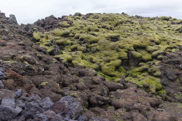 Eldhraun Lava Fields