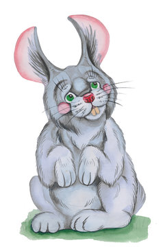 Illustration gray rabbit ,made watercolor . on white background