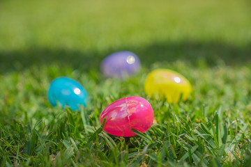 Easter Eggs in the Grass as the Holiday Nears