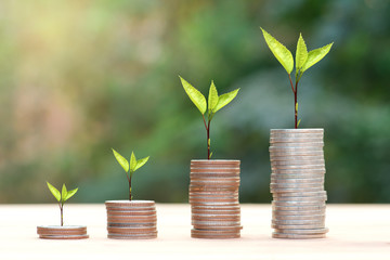 Business Finance and Money concept, Money coin stack growing graph with green bokeh background