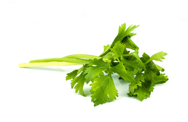 fresh celery on white .