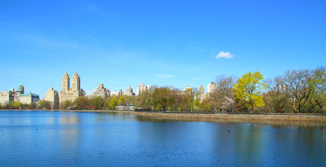 View of Central park at sunny spring day