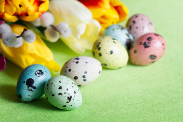 Easter green abstract background composition with tulips
