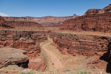 Canyonlands National Park Landscape