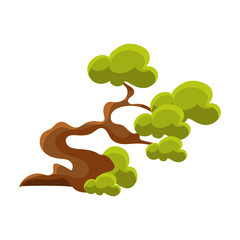 Green Crooked Tree Bonsai Miniature Traditional Japanese Garden Landscape Element Vector Illustration