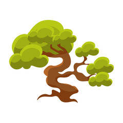 Green Tree Bonsai Miniature Traditional Japanese Garden Landscape Element Vector Illustration
