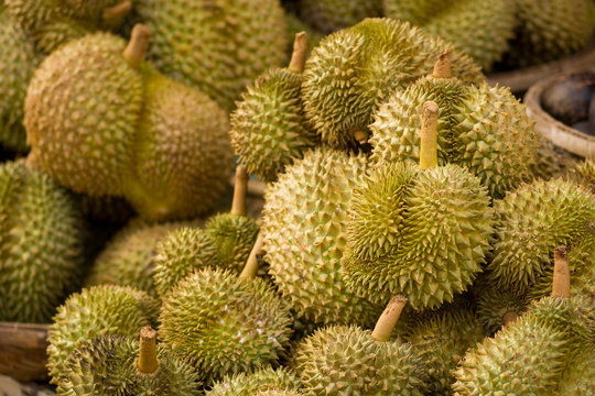 durian