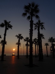 Obraz premium Coast / Seaside / Barceloneta Beach in Barcelona with colorful sky at sunrise, Spain