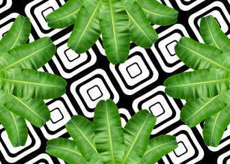 
banana leaf pattern background
