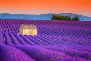 Fotobehang Violet Spectaculaire lavendelvelden in de Provence, Valensole, Frankrijk, Europa