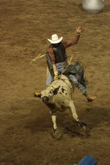 Rodeo cowboys clowns flags and fences