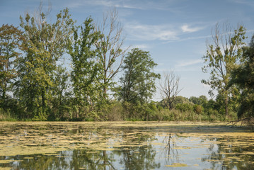 Réserve naturelle de la petite Camargue Alsacienne, Saint-Louis