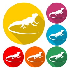 Lizard icon vector - Illustration