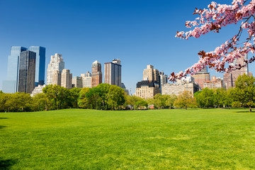 Central park at spring sunny day, New York City