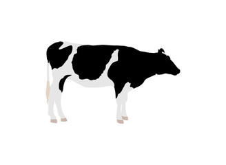 乳牛のイラスト素材