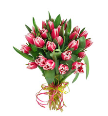 Bouquet of tulips