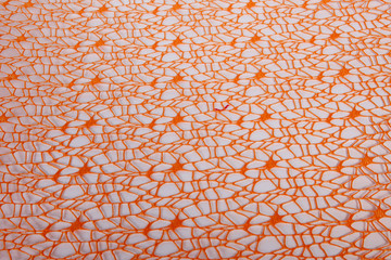 texture mesh genuine