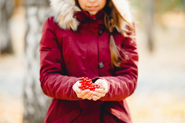 Autumn, the girl in a jacket on a background of a yellow stairway holds in hands berries of a mountain ash, a viburnum. The concept of folk remedies for treating colds, berries for a drink of mulled w © Parilov
