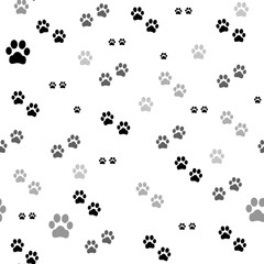 Paw print seamless. Traces of Cat Textile Pattern. Vector seamless