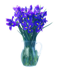 Blue iris flowers in vase isolated on white background