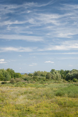 Fototapeta premium Réserve naturelle de la petite Camargue Alsacienne, Saint-Louis