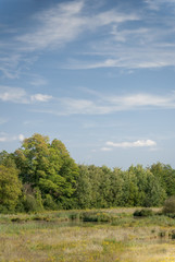 Obraz premium Réserve naturelle de la petite Camargue Alsacienne, Saint-Louis