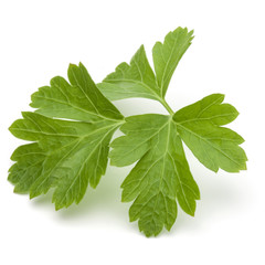 Fresh parsley herb leaves  isolated on white background