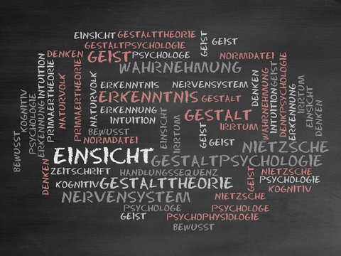 Einsicht