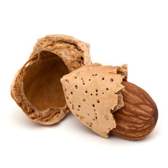 Almond nut in shell and shelled isolated on white background close up