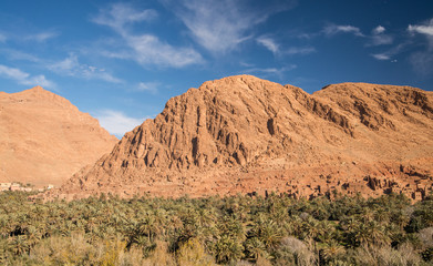 Scenic moroccan landscape in Africa 