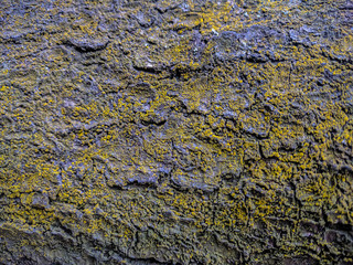 Wooden natural pattern background