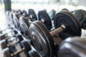 Fototapeta premium Rows of metal dumbbells on rack in the gym