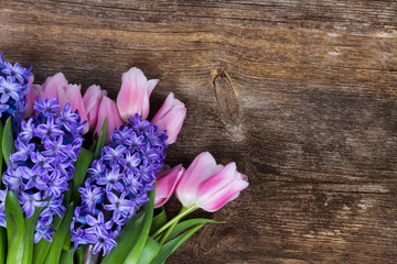 Pink tulips and blue hyacinths flowers on dark aged wooden background