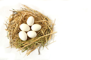pictures of the chicken eggs in the most beautiful white ground, Herbs and plants in the chicken eggs, chicken nest and eggs, 
