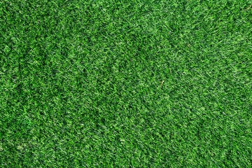 Obraz premium Top view green grass background for texture