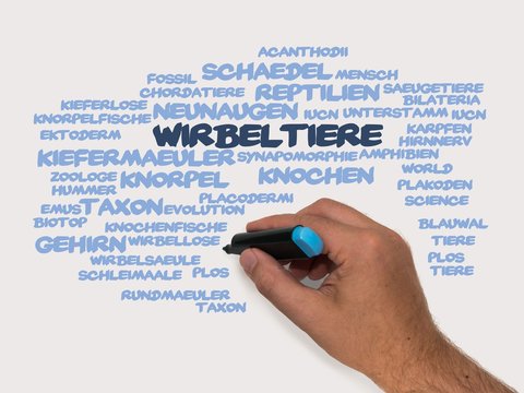 Wirbeltiere