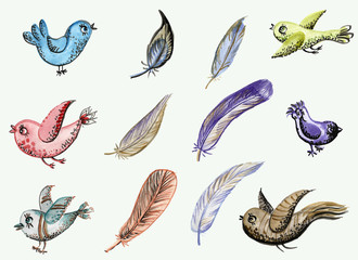 watercolors of birds and feathers