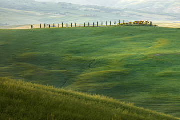 tuscany green hills in Italy