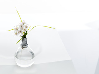 renewable energy