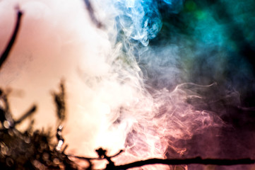 Ignite the fire. Macro shot of abstract bonfire, white smoke, hot, glowing coal and fire. Burning branches and wood. Flames in fireplace, cozy home, warmth, love, romantic. Spring cleaning, gardening