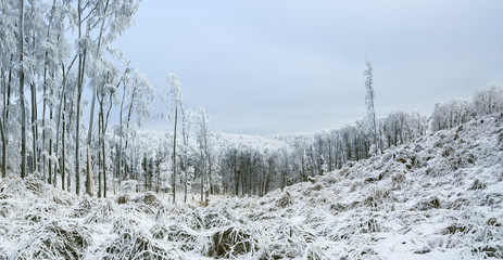 Beautiful winter scenery in Carpathian mountains near Pezinok, Slovakia
