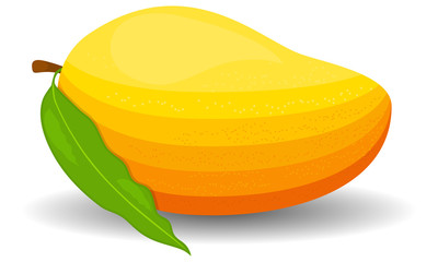 mango fruit isolated on white background