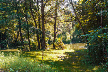 River and woods © AlexanderZam