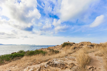Fototapeta na wymiar Beautiful seascape with rocks and meadow in cloudy blue sky