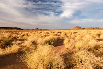 Landscape near Zagora, Morocco © Julian Schaldach