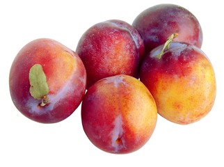 tasty plums greengages
